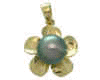 dngBPP04.jpg (11341 bytes)