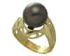 dngBPR03.jpg (13655 bytes)