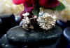 hawaiian_jewelry_diamond_hibiscus_earrings.jpg (18788 bytes)