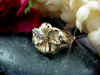 hibiscus_ring_side.jpg (19885 bytes)